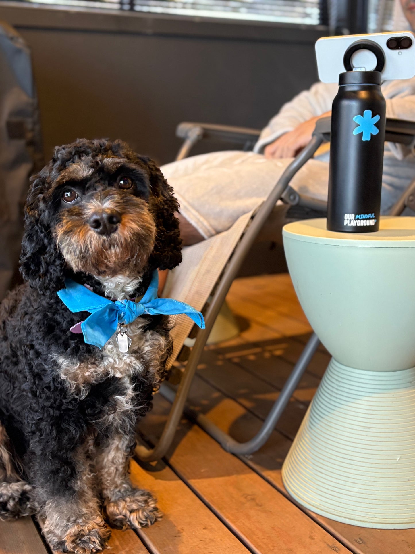 OMP MagMount Water Bottle | BPM Edition | Body. Purpose. Mind.