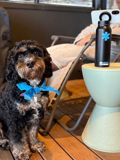 OMP MagMount Water Bottle | BPM Edition | Body. Purpose. Mind.